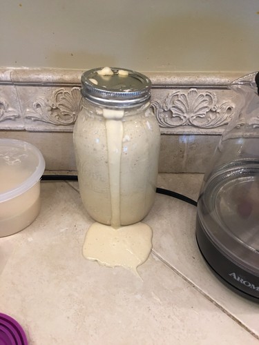 Yeast from 1633 historic - 1633,