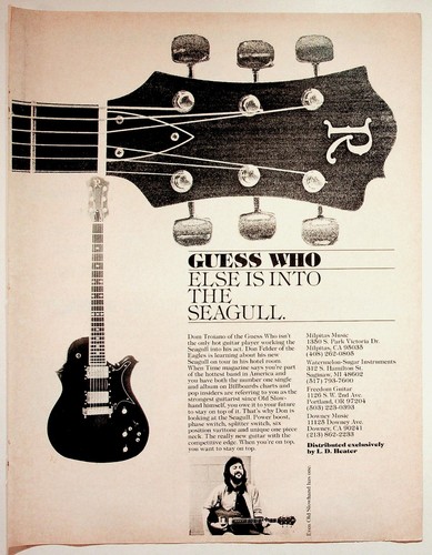 Seagull guitar vintage 1970s - guitar,