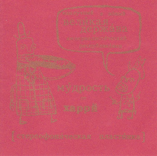 Wisdom harry almond - harry, orange