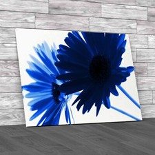 Stunning Gerbera Daisy Flowers