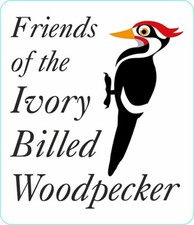 Vinyl Sticker Friends Ivory