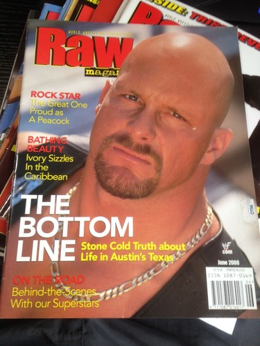 Wwf wwe raw - raw, 2000