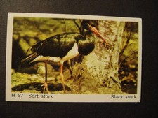 DANDY GUM WILD ANIMALS DANISH