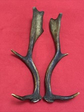 PAIR OF FALLOW DEER ANTLER