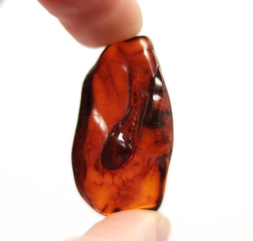 Polished dark cognac - polished, baltic