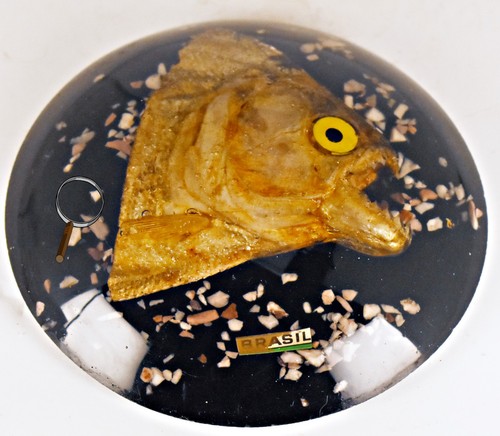 Paperweight piranha fish head - paperweight,