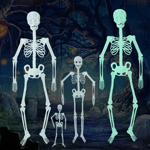 Luminous skeleton halloween - luminous,