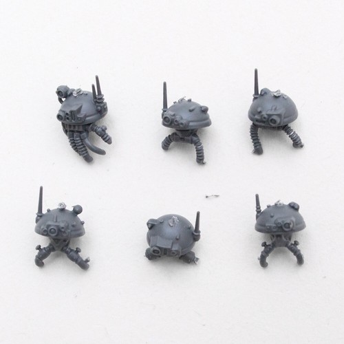 Sicarians heads adeptus - a,