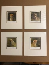 David Shepherd Limited Edition