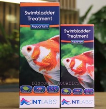 Labs swimbladder aquarium - nt,