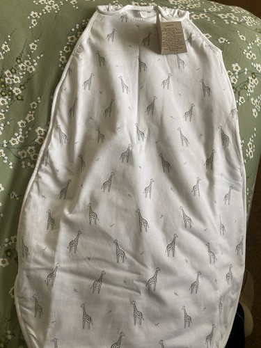 Little white company sleeping - company,