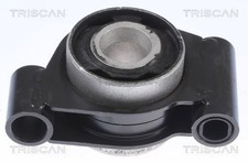 Control Arm Trailing Bushing