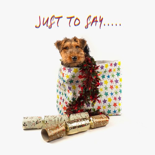 Dog christmas cards welsh - christmas,