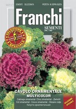 Franchi - FDBF_S 311-1 -