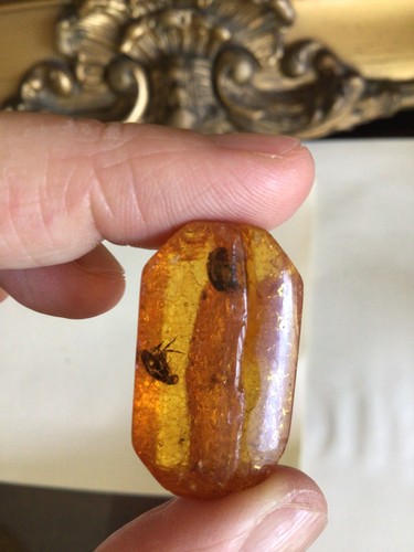 Baltic amber with mosquito - amber,