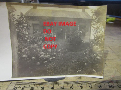 Rare old picture photo - picture,