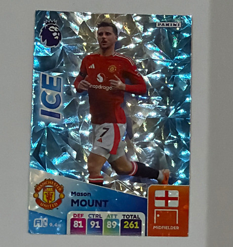 Panini adrenalyn premier - xl,