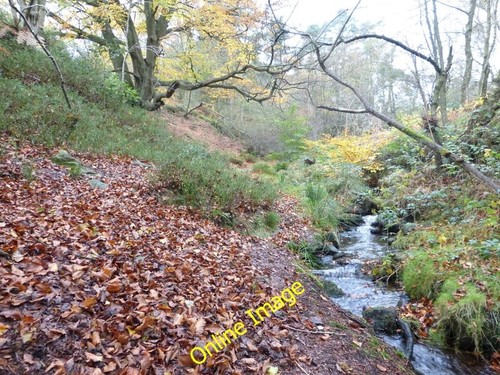 Photo 6x4 bentley brook - photo,
