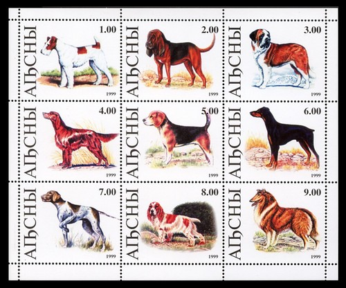 Wire fox terrier - fox, dobermann