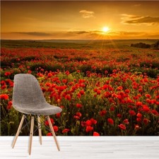 Poppy Field Sunset Wall Mural