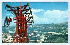 Vintage Postcard Riding High