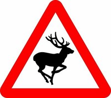 Wild Animals Road safety sign 
