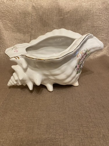 Large vintage conch shell - vintage,