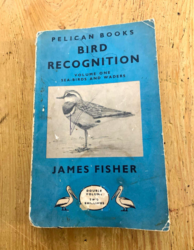 Pelican books bird recognition - pelican,