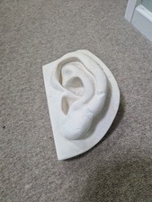 Michelangelo's David Plaster Cast Ear For The British Museum Company Ltd