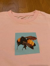 Golf Wang Tyler The Creator Flower Boy Tour T-Shirt Mens Size Small Pink Bees