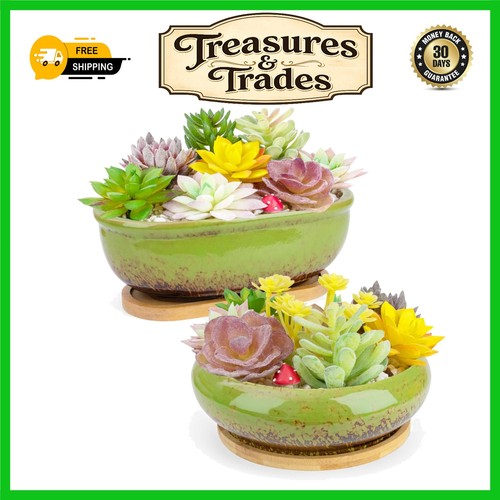 Elegant ceramic succulent - ceramic,