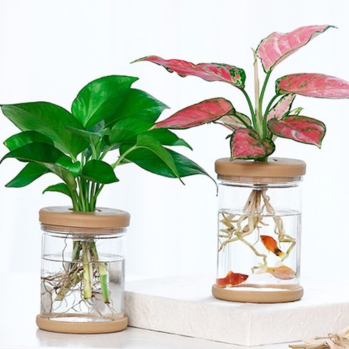 Mini hydroponic flower pot - mini,