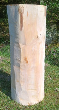 Log side table natural