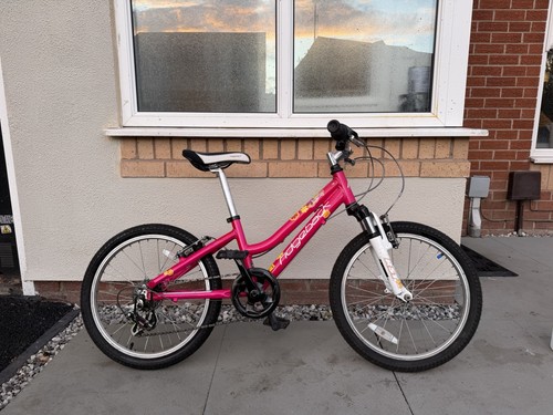 Ridgeback harmony pink - ridgeback,