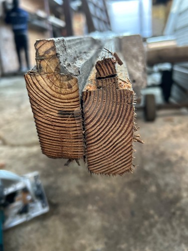 Pitch pine douglas fir - pine, /