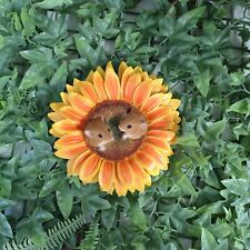 Vivid Arts - Hanging Twin