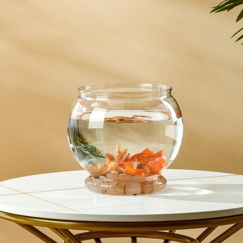 Clear fishes tank aquatic - fishes,