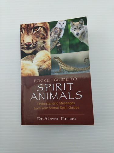 Pocket guide spirit - pocket, to