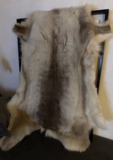 Reindeer Hide Rug Genuine