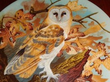 Coalport Collectors Plate BARN OWL From THE WISE OWL