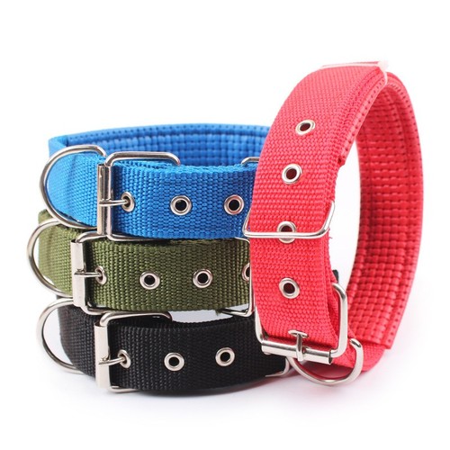 Solid nylon dog collar - solid,