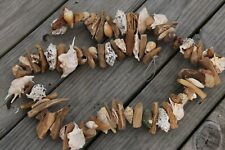 (2) Driftwood Seashell Garland