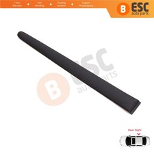 Rear Right Side Door Moulding