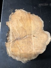 Seasoned Old Yew Spindle