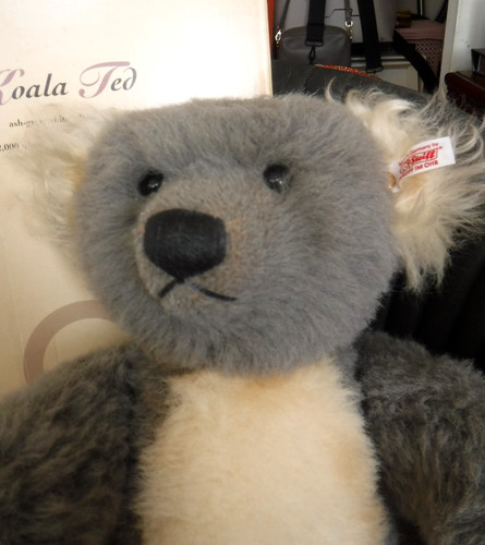 Steiff koala ted - koala,