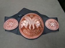 WWE Tag Team Champion