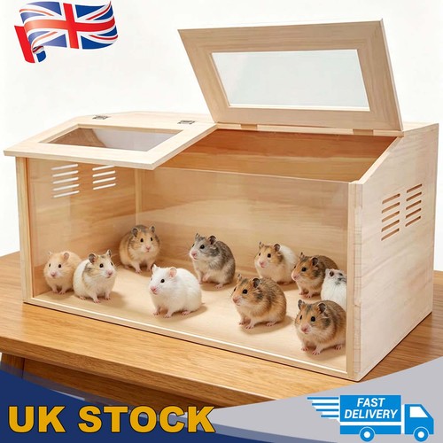Solid wood hamster guinea - solid, pig