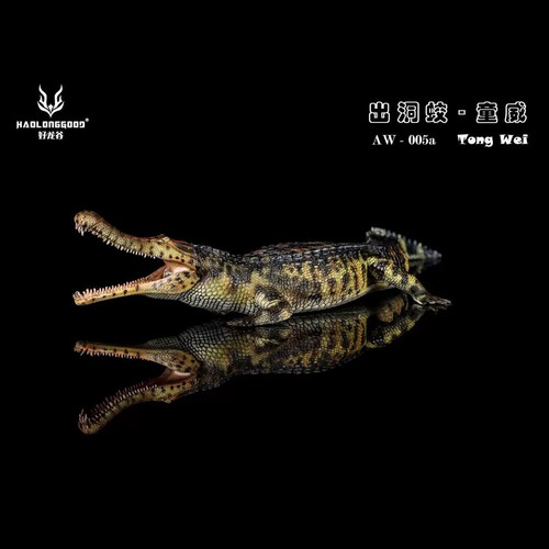 Haolonggood sarcosuchus - haolonggood,