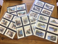COLLECTION OF 54 VINTAGE PCs -