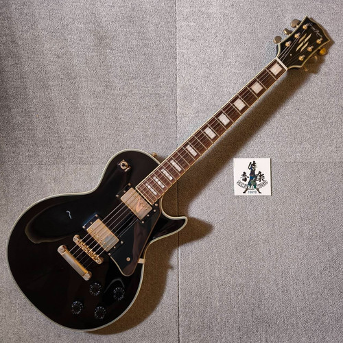 Grass roots les paul - grass, custom